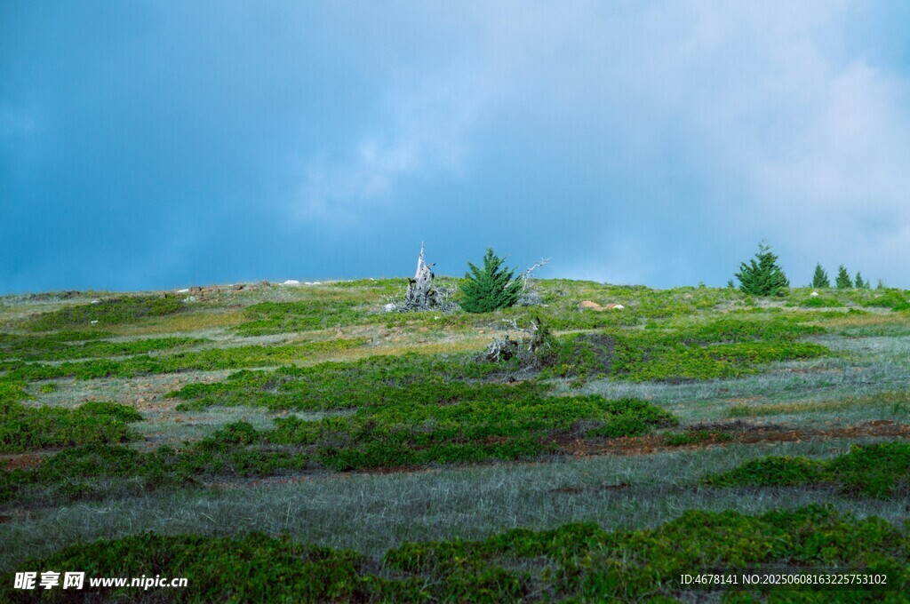 山间草地风景
