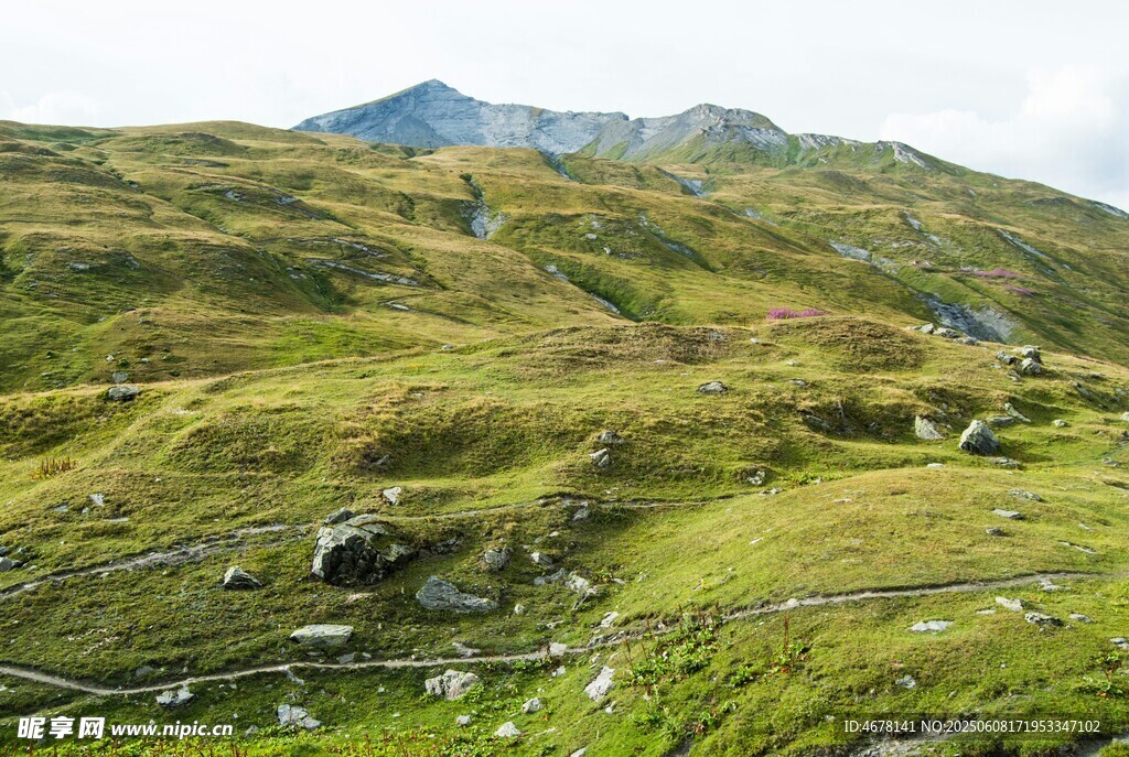 山间绿野美景