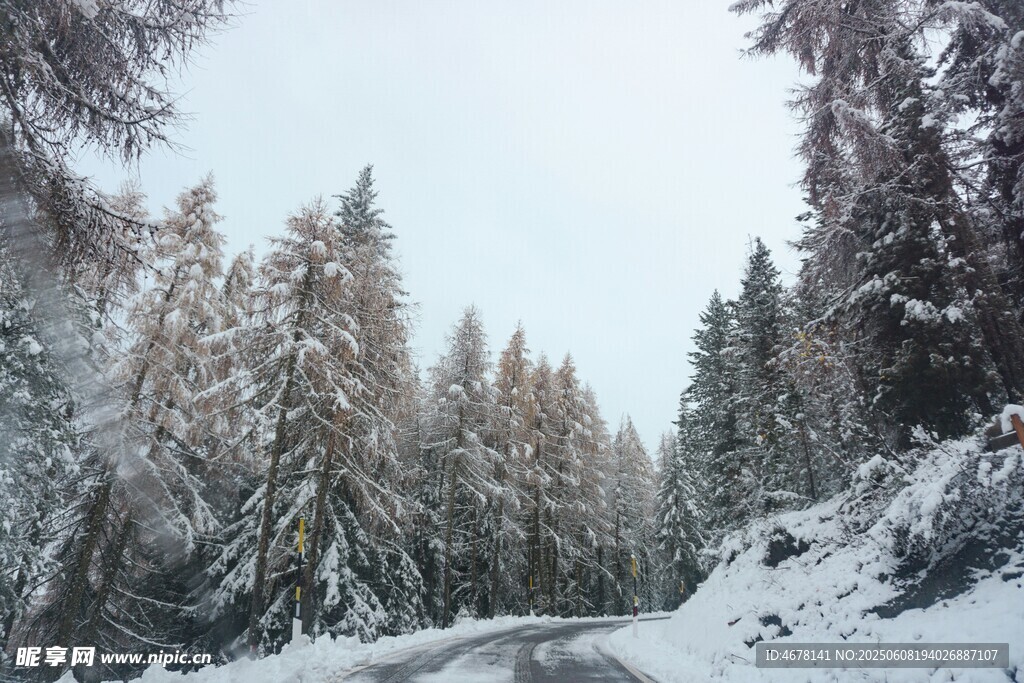 冬日雪覆山林的静谧之路