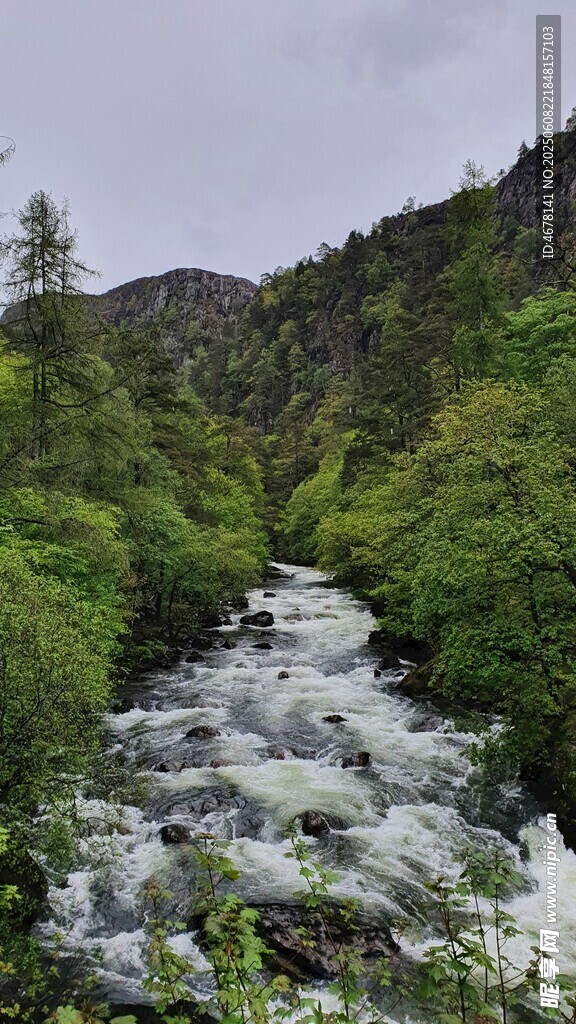 山间湍急溪流穿林而过