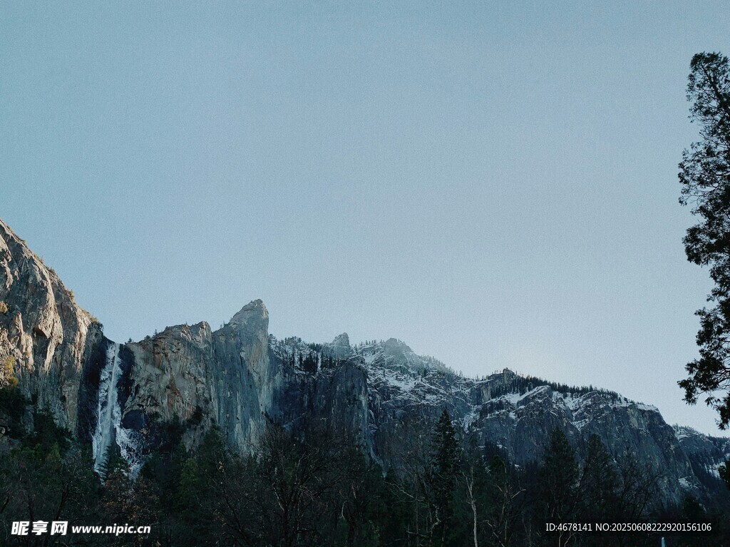 壮丽山景与挺拔树木