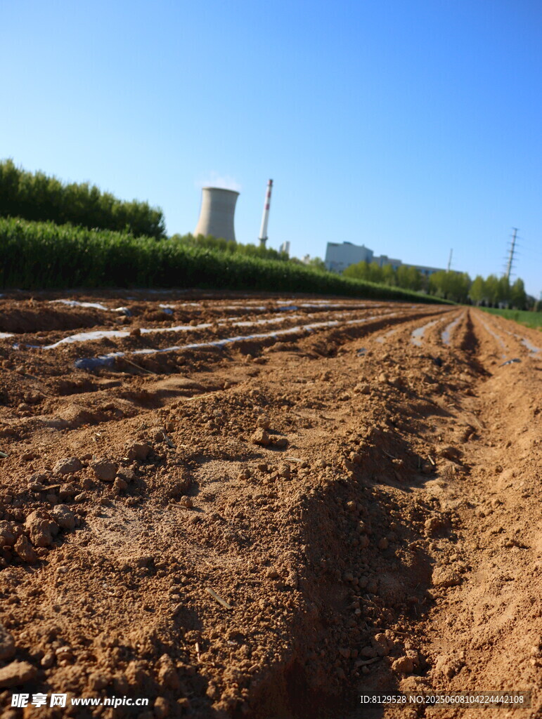 田野间的新耕土地