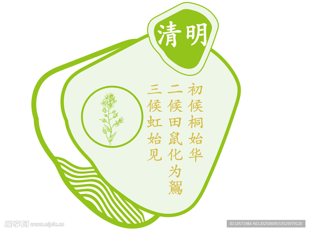 清明  二十四节气 七十二候 