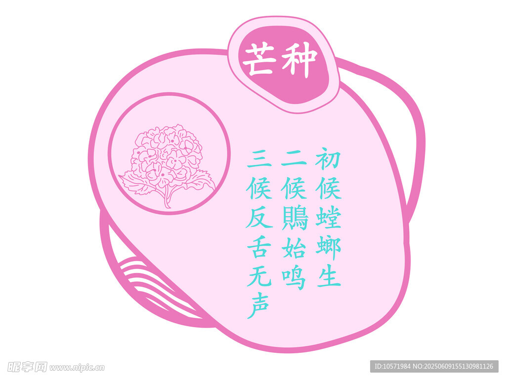 芒种 二十四节气 七十二候  