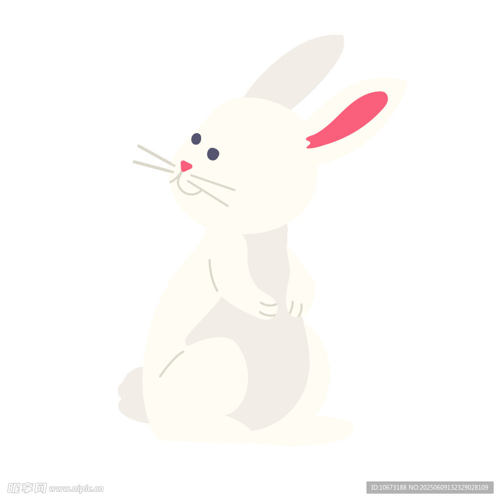 可爱白兔插画