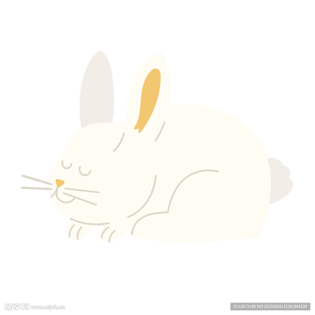熟睡的白兔