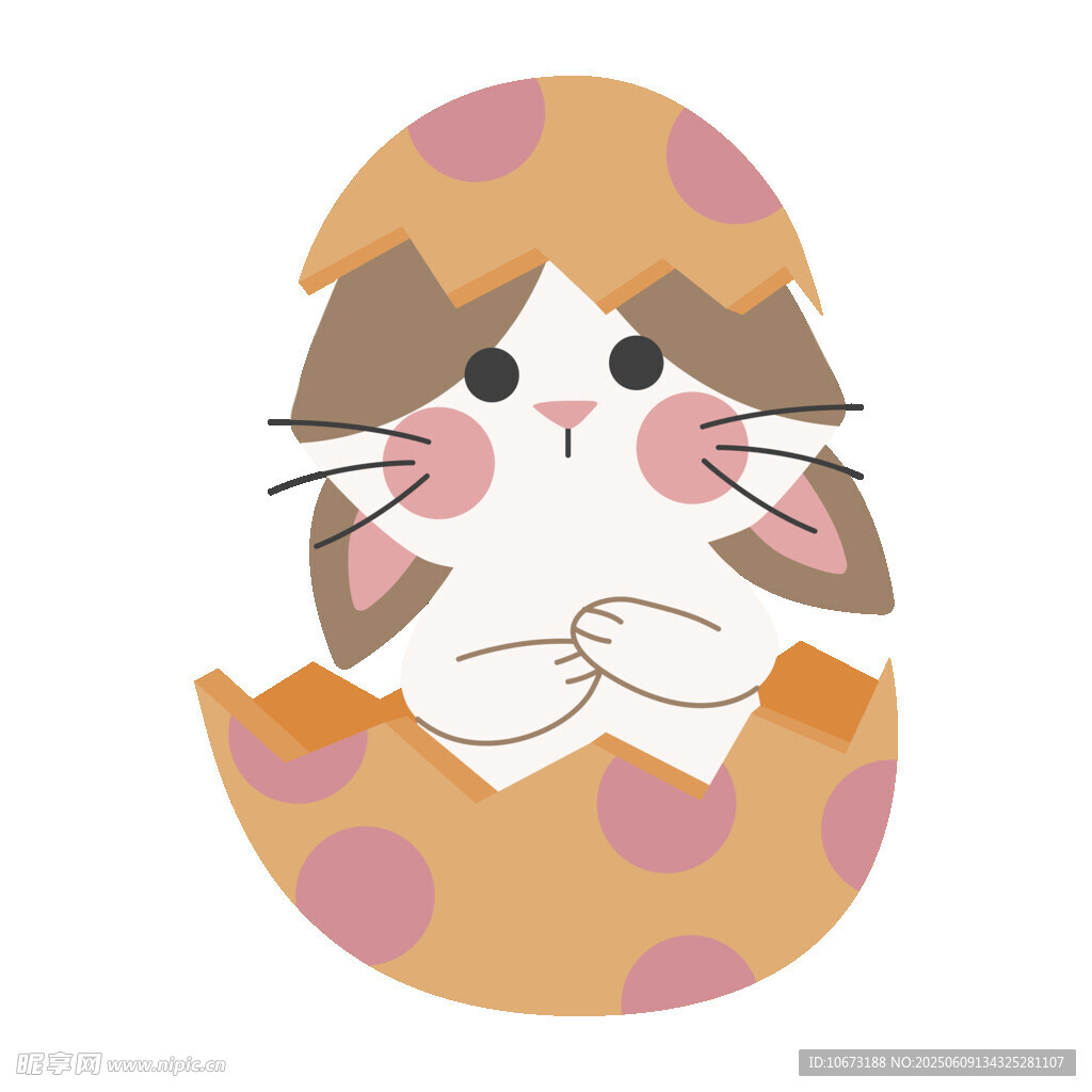 破壳小猫