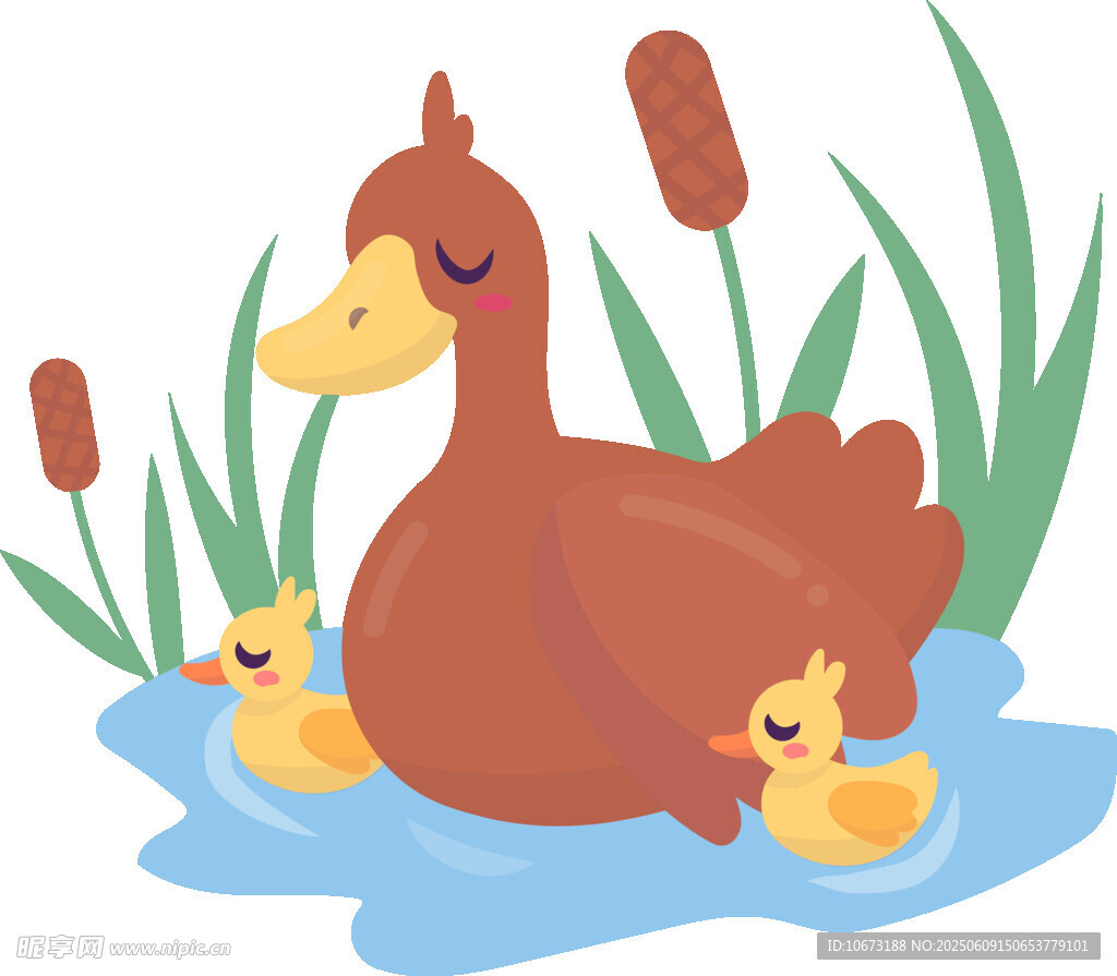鸭妈妈与小鸭的温馨画面