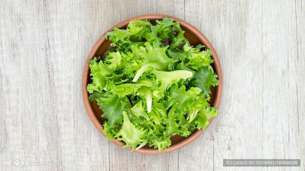 木碗中的新鲜绿色生菜