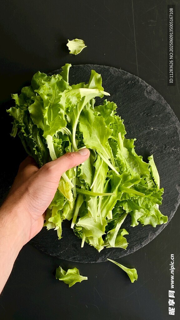 手捧鲜嫩绿色蔬菜