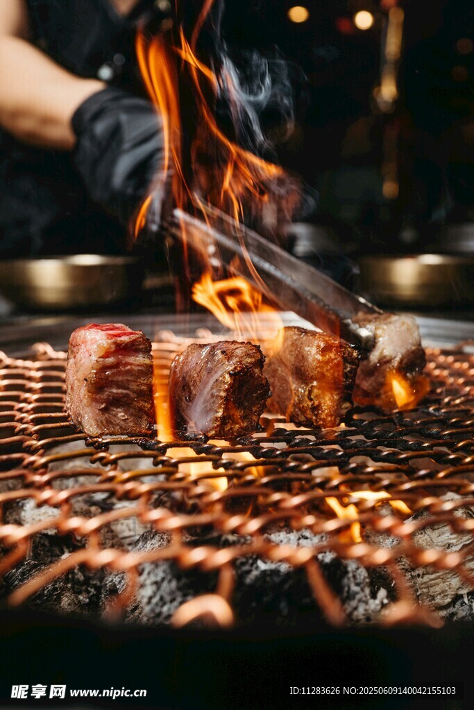 火焰上的美味烤肉