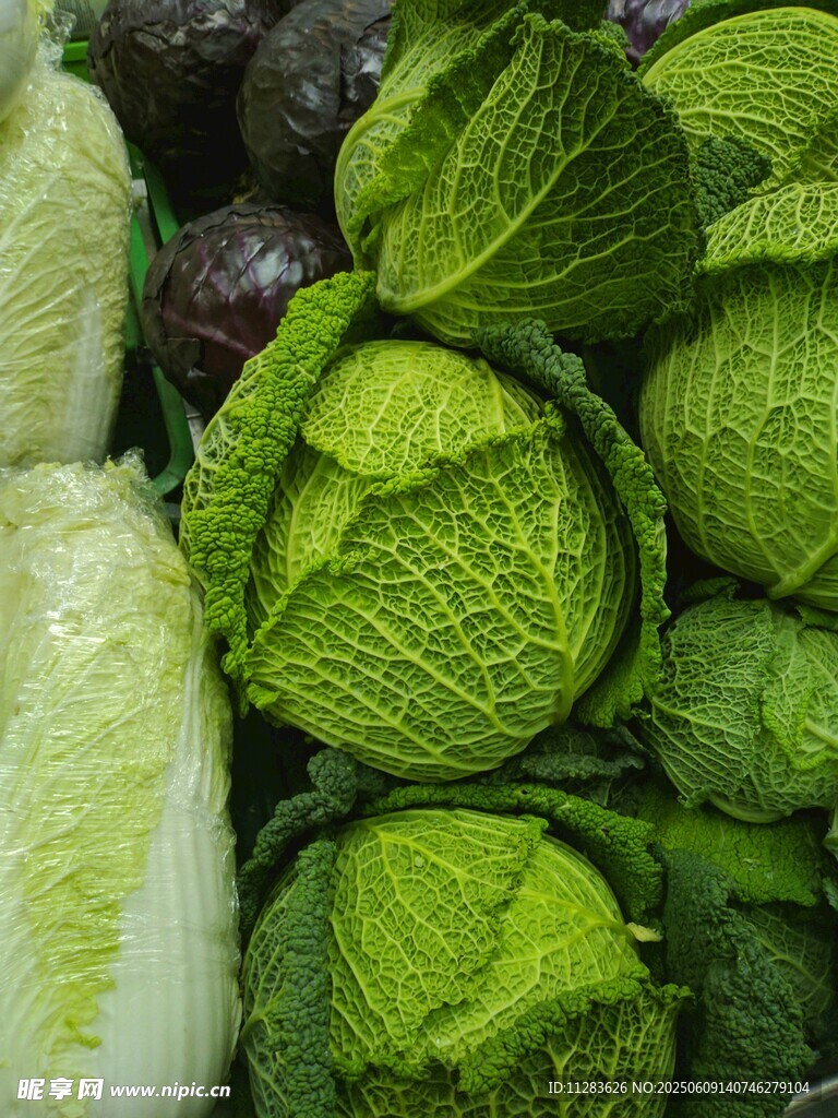 新鲜卷心菜堆叠
