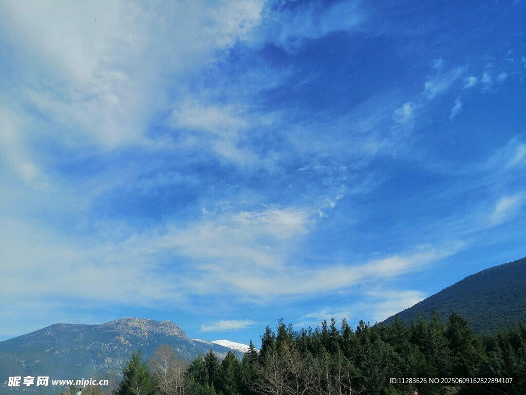 蓝天白云下的山林美景