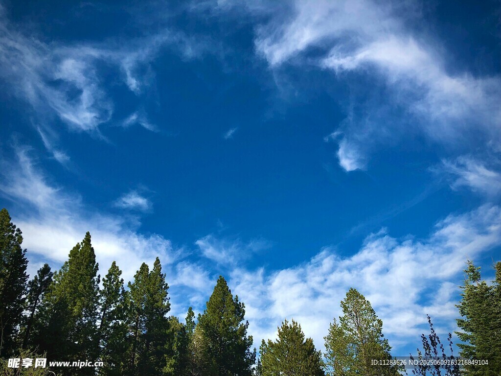 蓝天绿树间的美丽景致