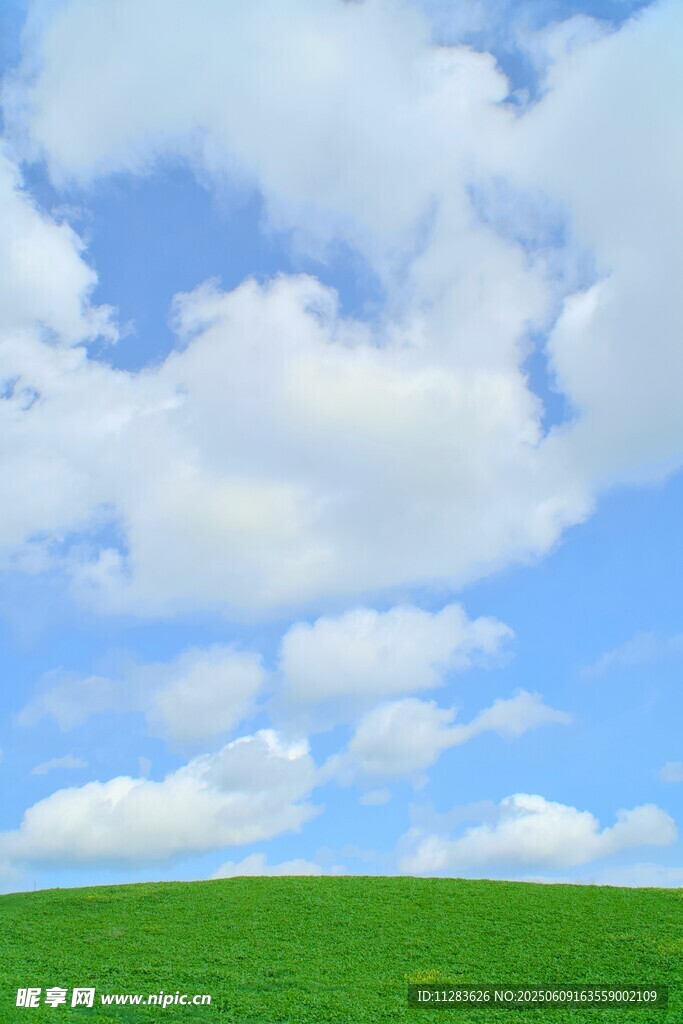 蓝天白云下的翠绿草地
