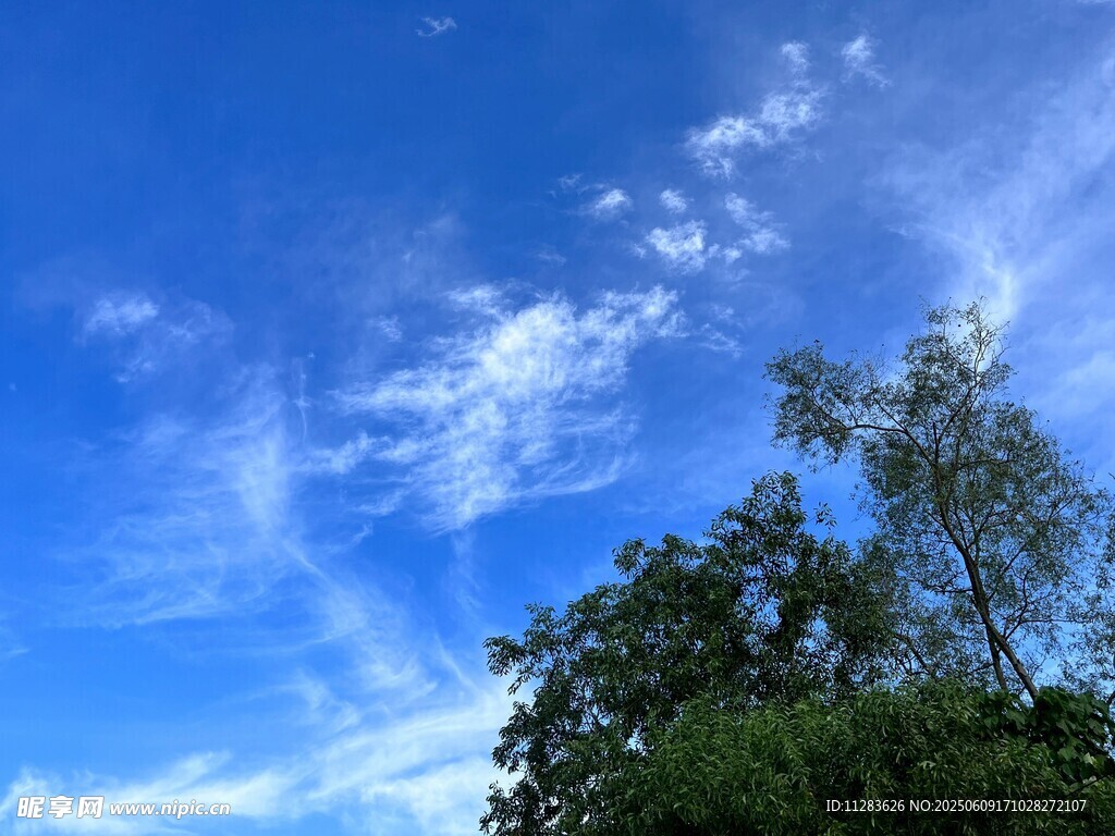 蓝天绿树间的美丽景致