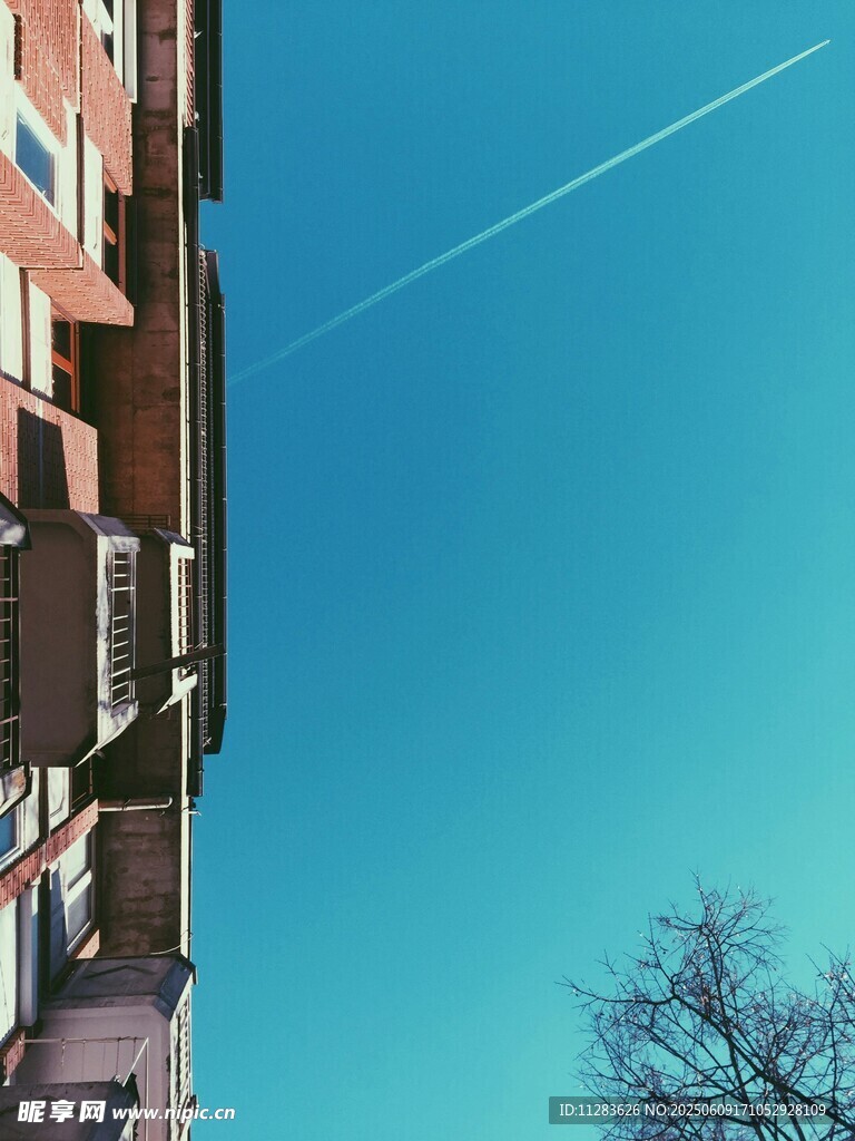 蓝天映衬下的建筑与树木