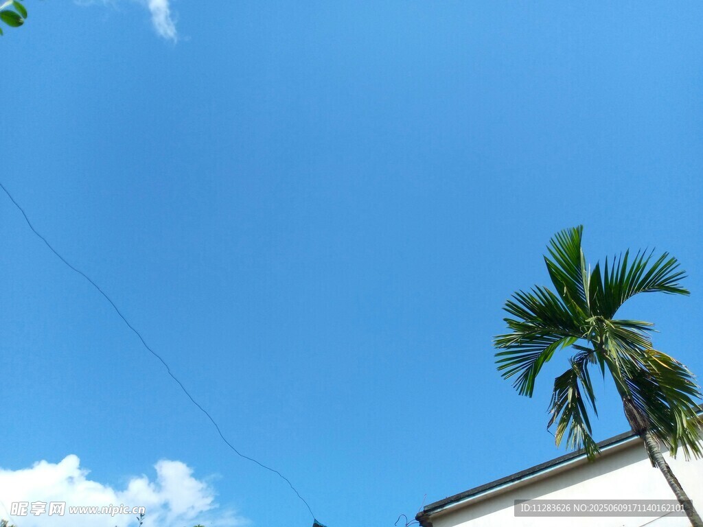 蓝天椰树旁的建筑一角