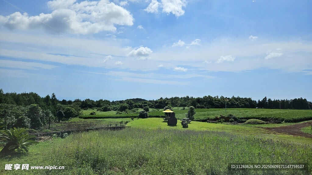 田园风光美景