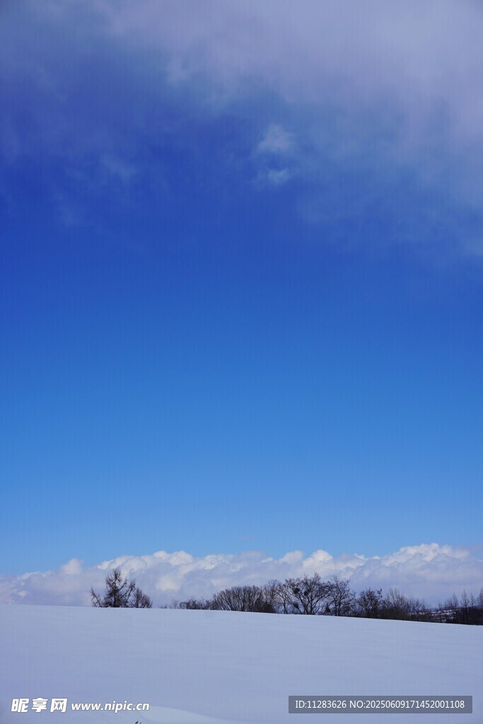 蓝天覆雪的大地