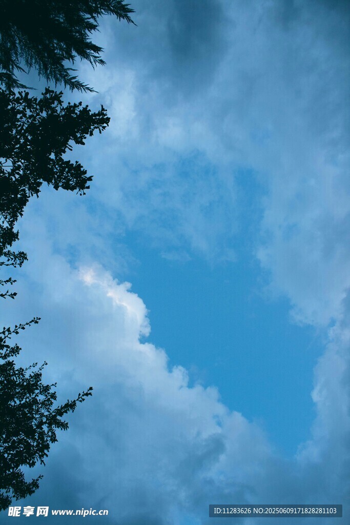 蓝天绿树间的云朵美景
