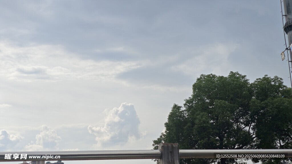 户外天空下的绿树与建筑
