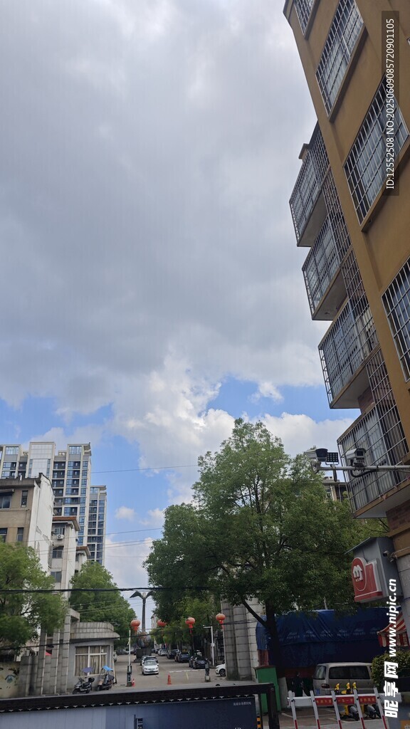 城市街道旁的建筑与绿树