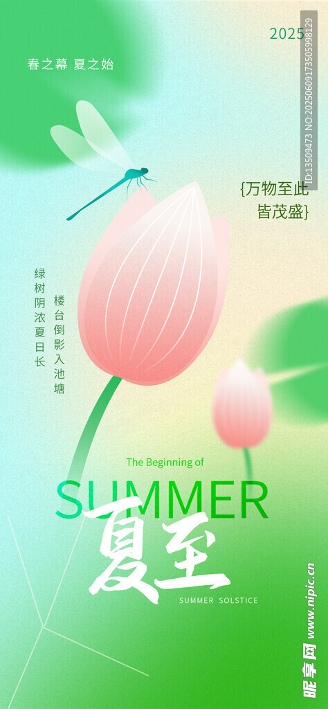 夏至