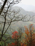 山间秋景 红叶点缀山峦