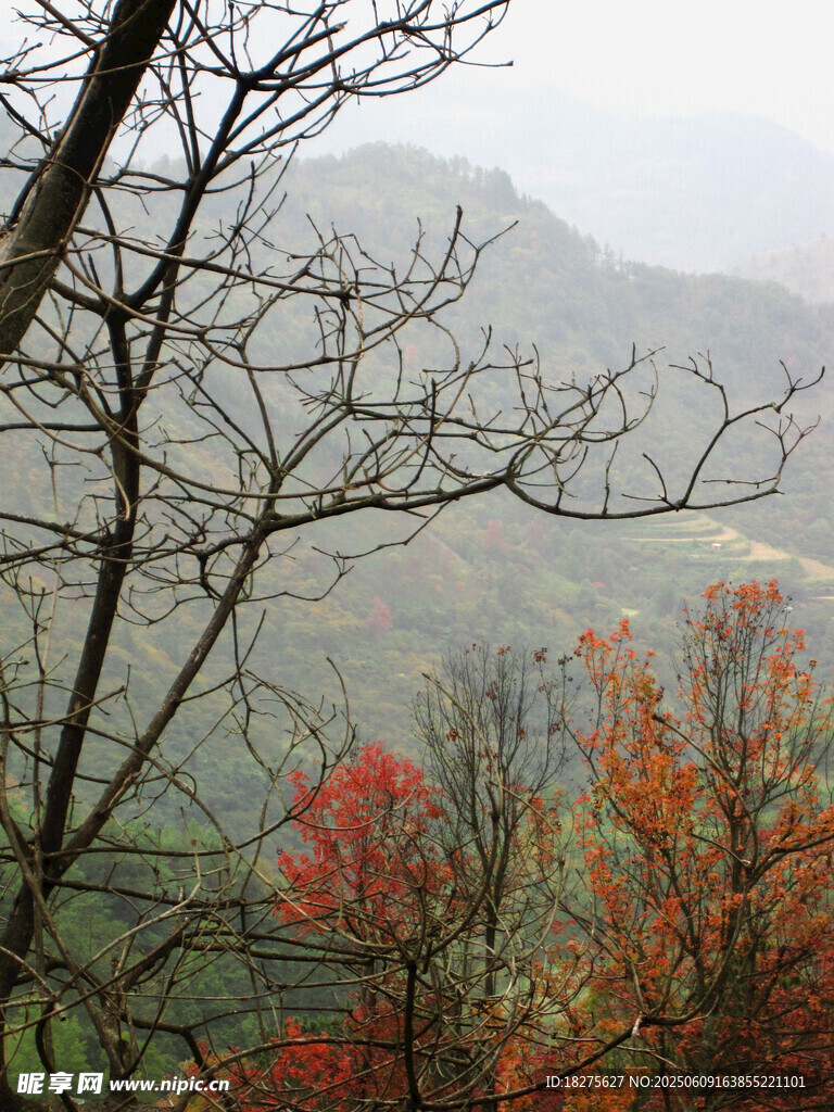 山间秋景 红叶点缀山峦