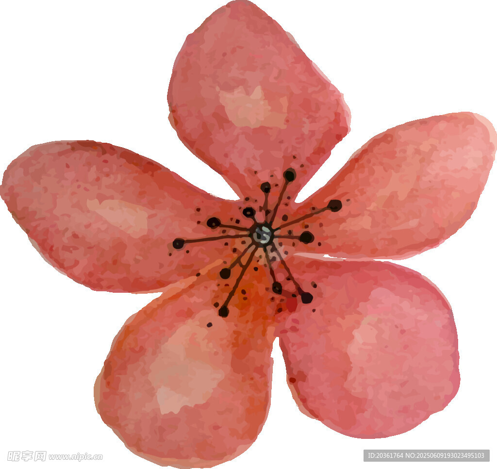 水彩绘粉色五瓣花朵