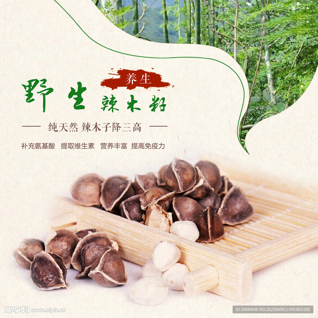 野生黑木耳 天然好食材