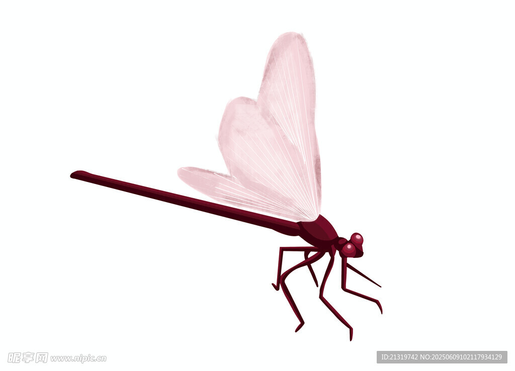 蜻蜓手绘插画