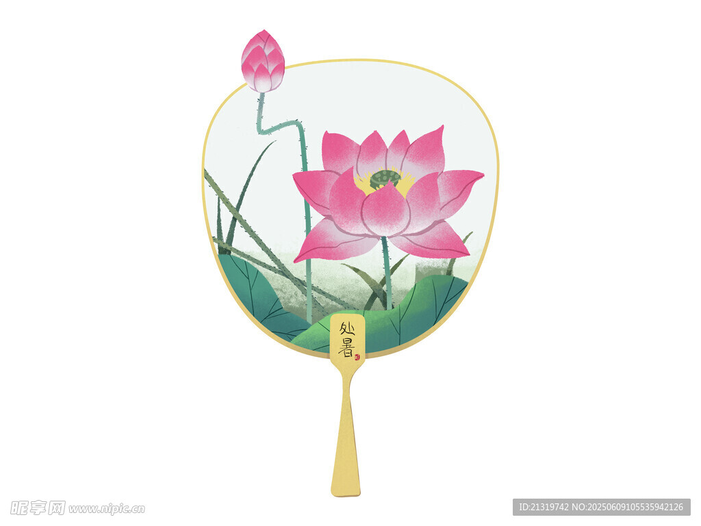 荷花扇子插画