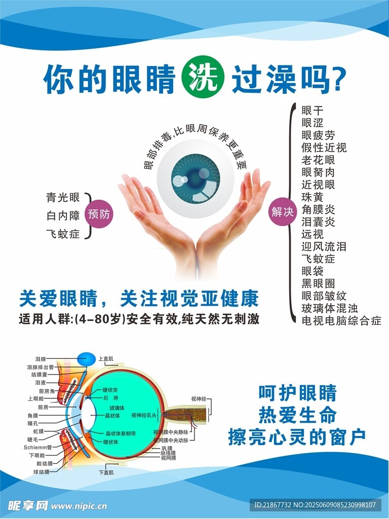 眼睛健康科普宣传海报