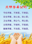 明餐桌公约