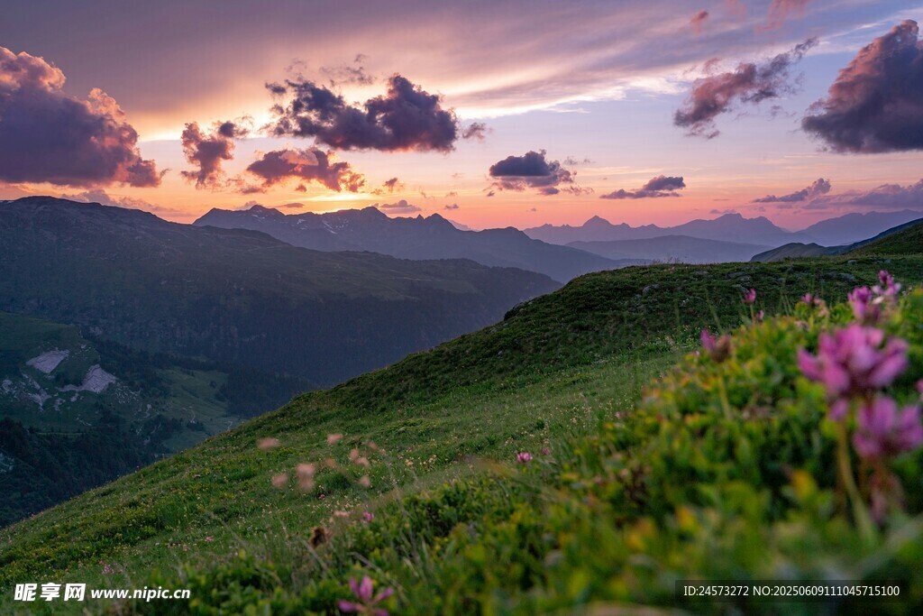 山间日暮繁花美景