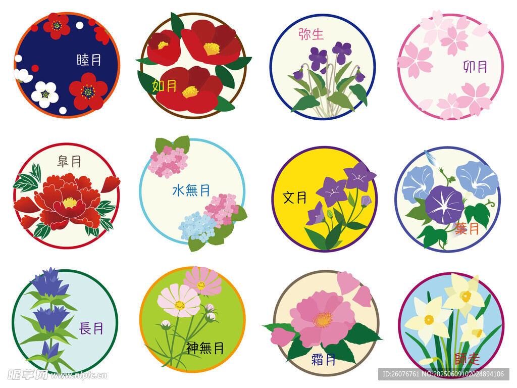 多彩花卉圆形图案素材