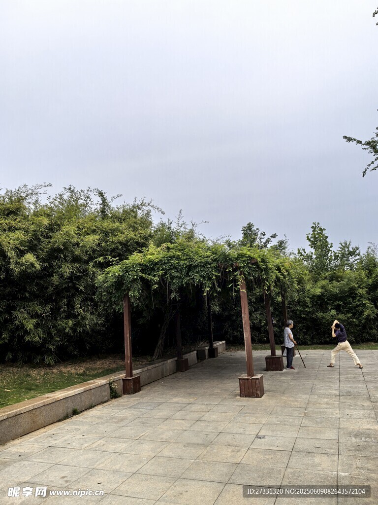 户外绿荫下的休闲长廊