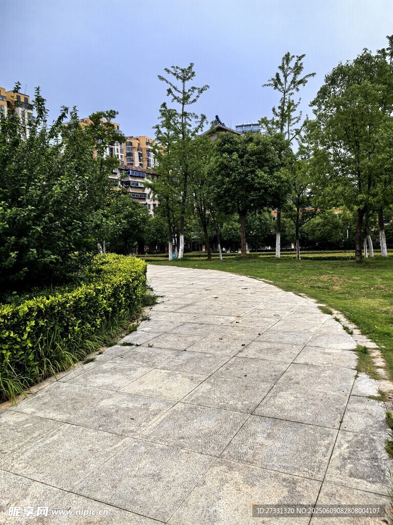 园林小径绿意环绕