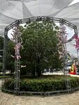 金属框架环绕绿植景观