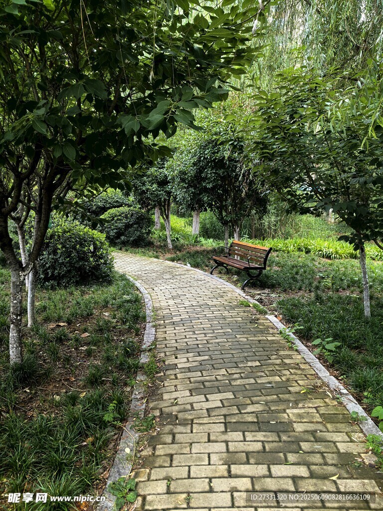 林间砖石小径 绿意盎然