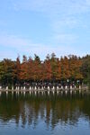 秋日湖畔美景
