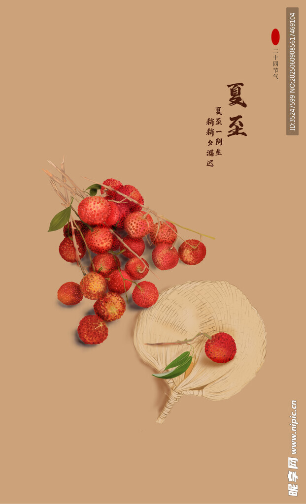 夏至荔枝蒲扇二十四节气静物图