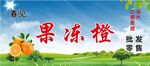 果冻橙宣传海报