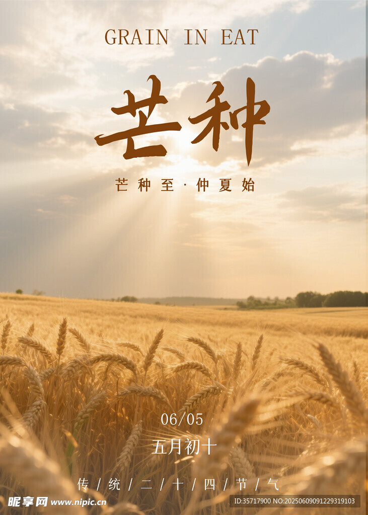 芒种海报