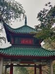 爱晚亭 中式古典凉亭