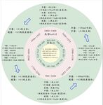 身高热量吃饭圆形表