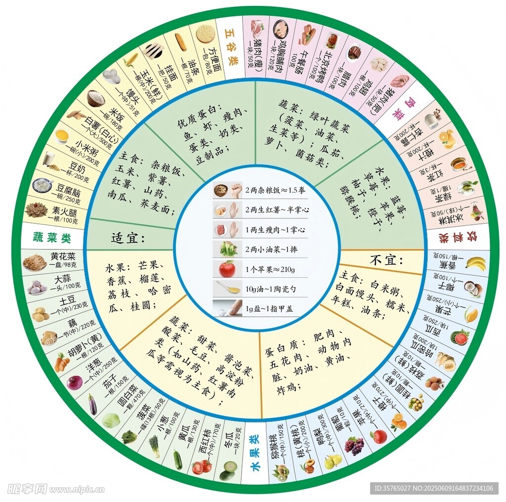 膳食能量圆形图