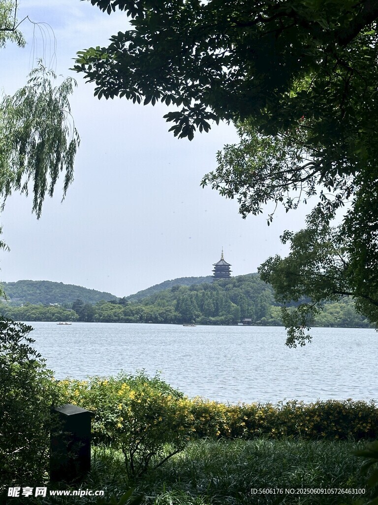 湖畔美景 绿树碧水远山